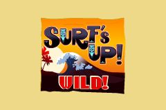 Surf's Up