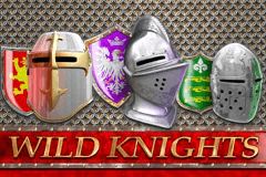 Wild Knights