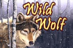 Wild Wolf