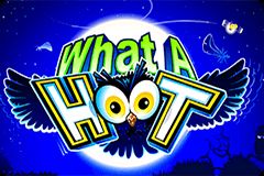 What a Hoot