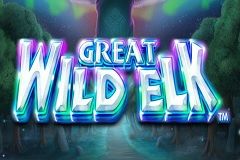 Great Wild Elk