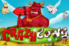 Forsiden af spilleautomaten Crazy Cows