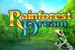 Rainforest Dream